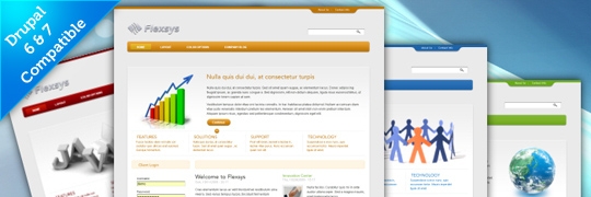 flexsys 1 0